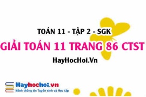 Giải Toán 11 trang 86 tập 2 Chân trời sáng tạo